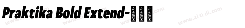 Praktika Bold Extend字体转换 Praktika Bold Extend字体转换